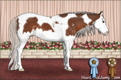 Horse Color: Silver Brown Sabino Splash Tobiano 