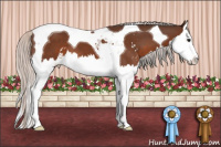 Horse Color:Silver Brown Sabino Splash Tobiano 