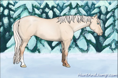 Horse Color: Silver Sable Champagne Pearl Dun Sabino 
