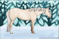 Horse Color:Silver Sable Champagne Pearl Dun Sabino