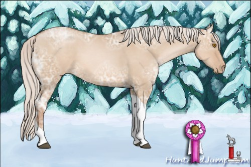 Horse Color: Silver Grullo Ice Pearl Tobiano 