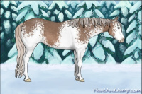 Horse Color:White Spotted Silver Black Sabino