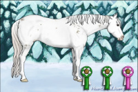 Horse Color:Silver Grullo Ice Sabino Splash 