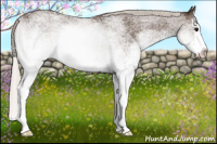 Horse Color:White Spotted Silver Black Splash Rabicano 