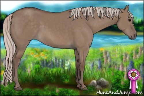 Horse Color: Silver Grullo 