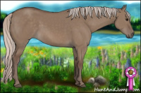 Horse Color:Silver Grullo 