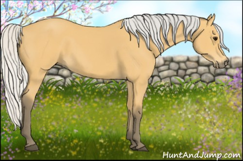 Horse Color: Silver Buckskin 