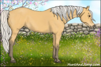 Horse Color:Silver Buckskin 