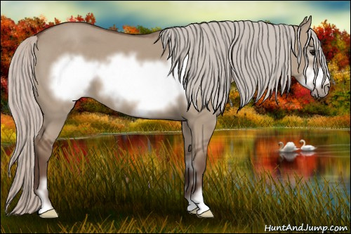 Horse Color: Silver Grullo Sabino Frame 