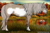 Horse Color:Silver Grullo Sabino Frame