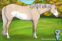 Horse Color:Silver Classic Champagne Dun Frame Rabicano 