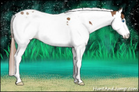 Horse Color:Chestnut Splash Tobiano