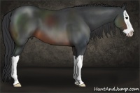 Horse Color:Brown Splash
