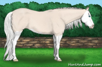 Horse Color:Silver Perlino Splash