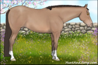 Horse Color:Sable Champagne