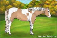 Horse Color:Silver Bay Dun Splash Tobiano