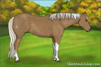 Horse Color:Silver Smoky Black Tobiano 