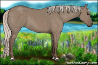 Horse Color:Silver Grullo 