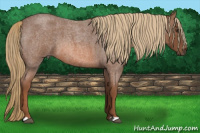 Horse Color:Liver Red Roan 
