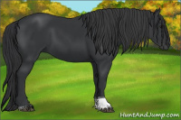 Horse Color:Black Tobiano 