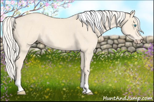 Horse Color: Cremello Tobiano Frame 