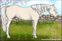 Horse Color:Cremello Tobiano Frame 