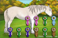 Horse Color:Perlino Sabino 