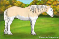 Horse Color:Palomino Roan Splash 