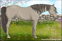 Horse Color:Classic Cream Champagne