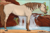 Horse Color:Red Dun 
