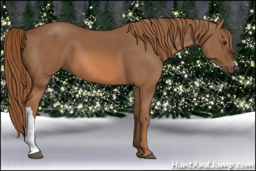 Horse Color: Chestnut 