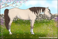 Horse Color:Amber Champagne Dun Splash 