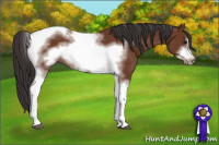Horse Color:Bay Tobiano Frame 