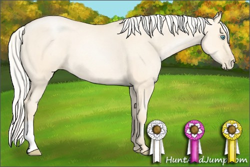 Horse Color: Unknown 