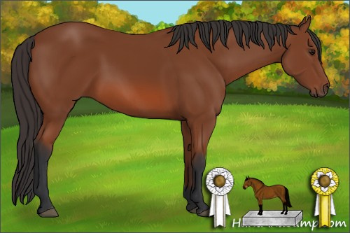 Horse Color: Bay 