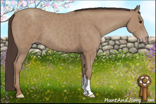 Horse Color: Classic Champagne 