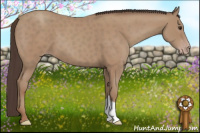 Horse Color:Classic Champagne 