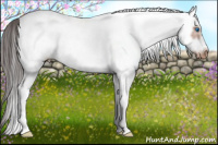 Horse Color:White Spotted Bay Splash Frame Varnish 