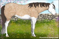 Horse Color:Sable Champagne Ice Splash 