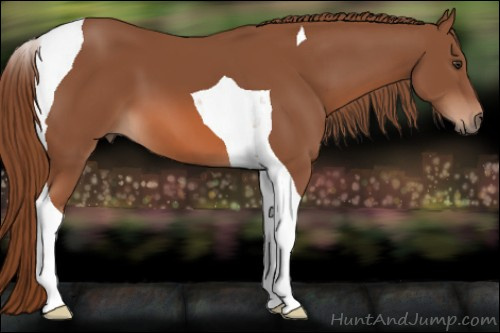 Horse Color: Liver Chestnut Tobiano 