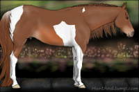 Horse Color:Liver Chestnut Tobiano 
