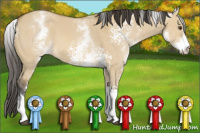 Horse Color:White Spotted Buckskin Dun 