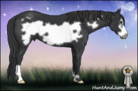 Horse Color:Black Frame 