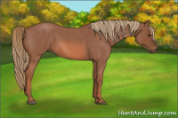 Horse Color:Liver Red Roan 