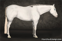 Horse Color:Perlino Roan Dun 