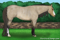 Horse Color:Buckskin Roan Rabicano 