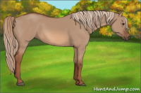 Horse Color:Liver Red Dun 