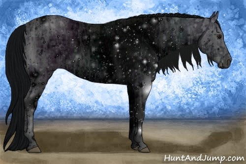 Horse Color: ERROR: UNKNOWN ANOMALY