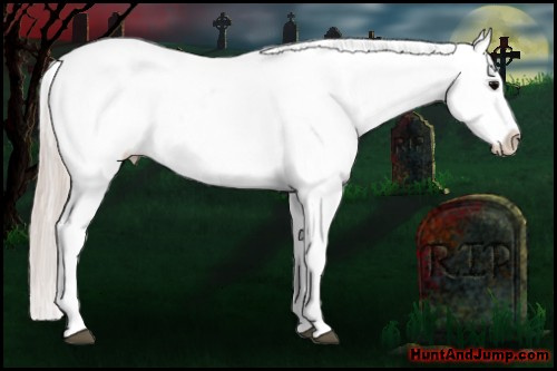 Horse Color: Silver Blue Roan Splash Near Leopard 
