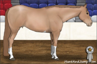 Horse Color:Black Pearl Tobiano